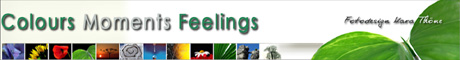 Banner460-203 Banner460-203