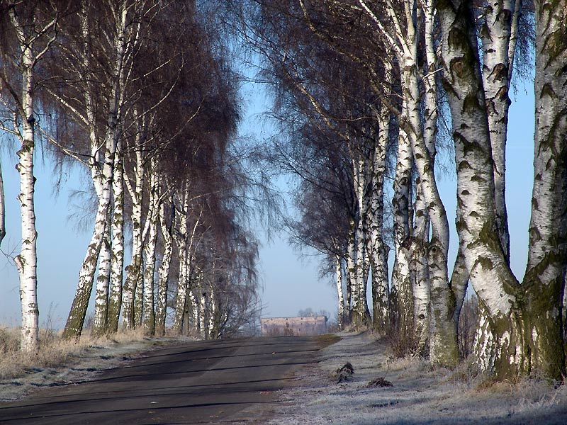 [Bild: Birkenweg.jpg]