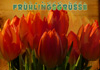Fr�hlingsgr�sse-mini02