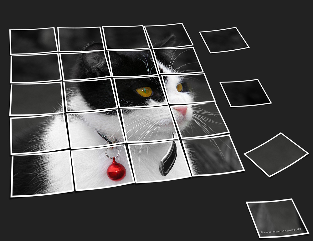Katzenpuzzle