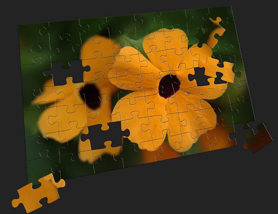 Puzzle Susanne