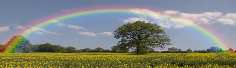 Regenbogen