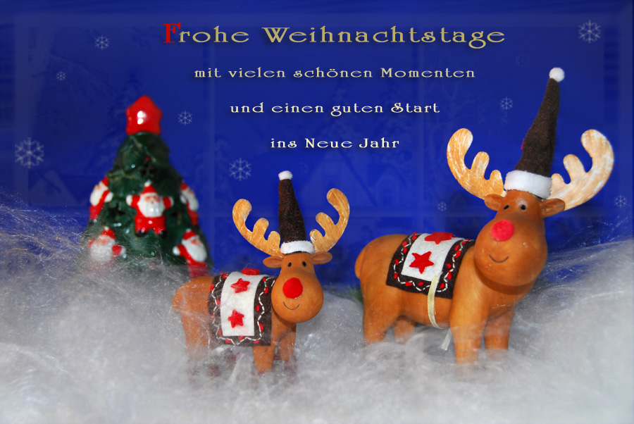 Rudolph-reindeer_9938+Txt