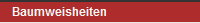 Baumweisheiten
