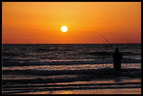 Angler Angler