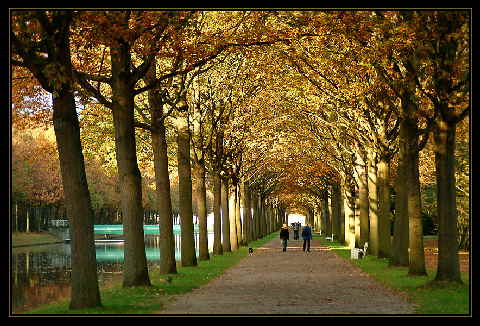 Unter'm goldenen Dach