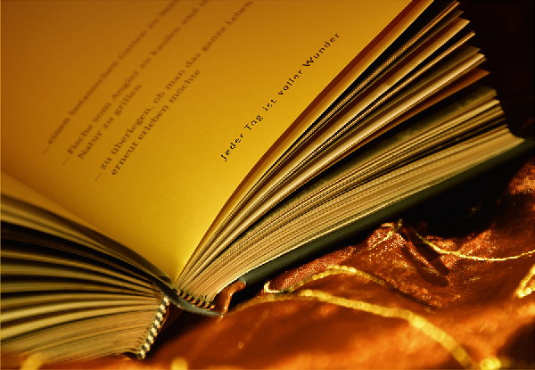 Buch-Wunder-HP Buch-Wunder-HP