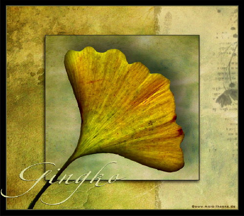 Gingko-Kunst