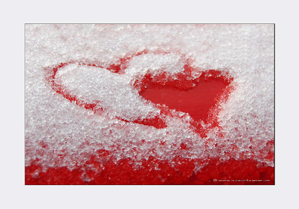 Herzen-im Schnee