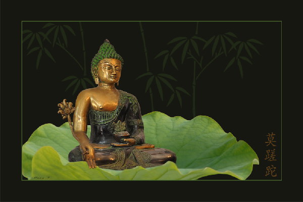 Lotos+Buddha+Carpe-F Lotos+Buddha+Carpe-F