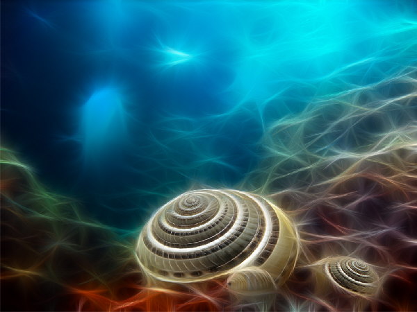 Muscheln underwater