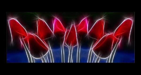 Tulpen-Fractalius-HP