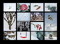 Winterspaziergang-2010-F