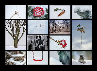 Winterspaziergang-2010-F