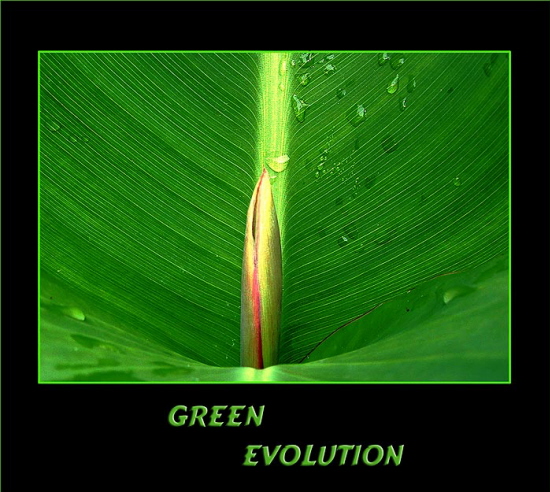 Green Evolution