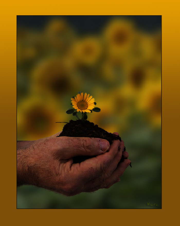Vater Sonne, Mutter Erde