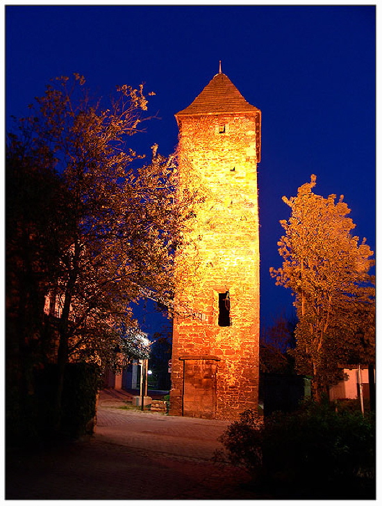 Eulenturm zur blauen Stunde