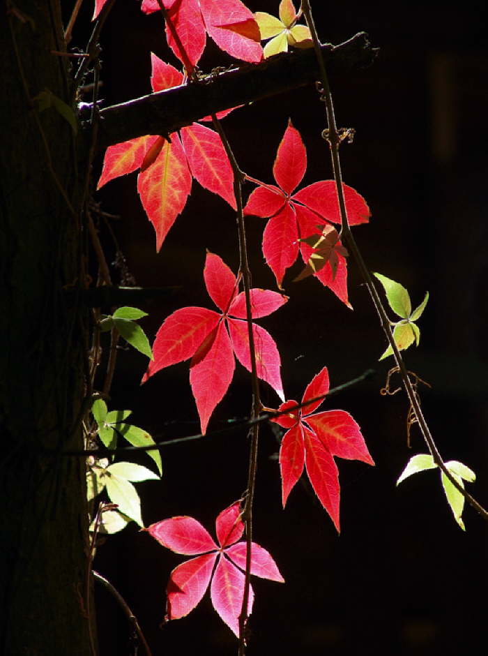 Durchleuchtet