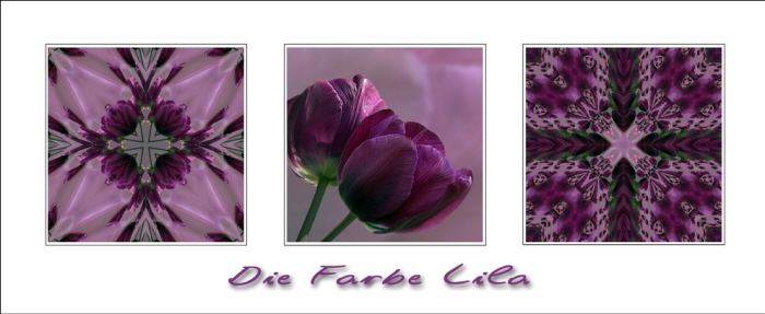 Die Farbe Lila - Triptychon