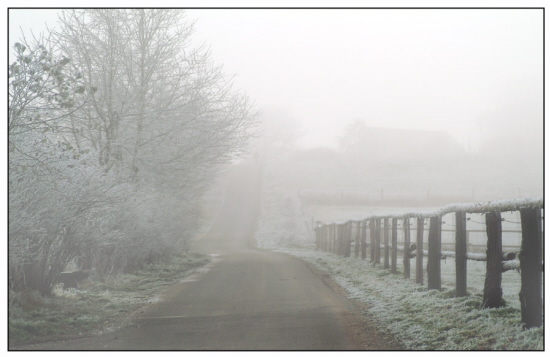 Novemberwinternebel