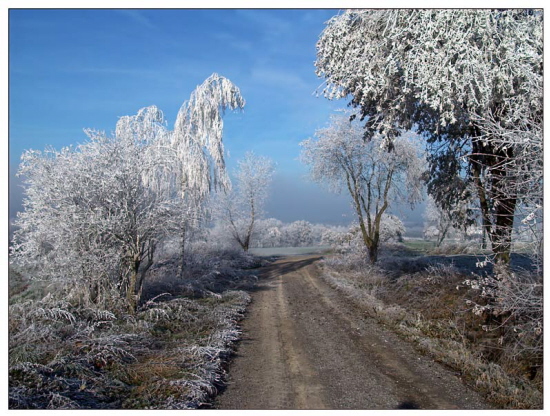 Novemberwinterweg