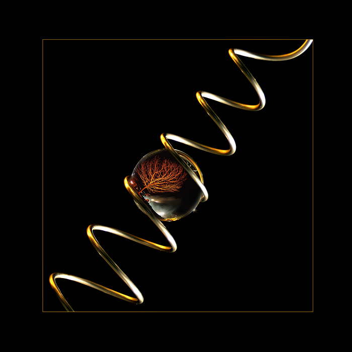 Feng Shui Spirale mit Goldbaum