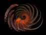 Spirale orange