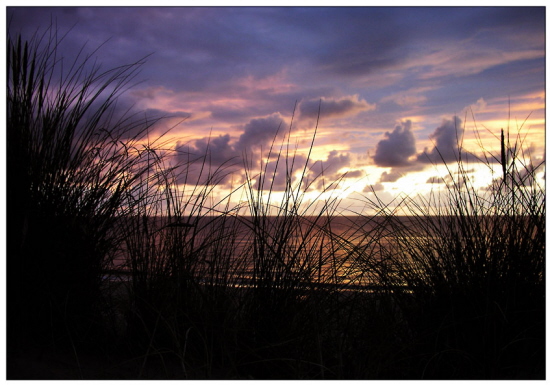 Sylt-Dne abends