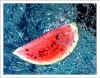 WaSSer - Melone