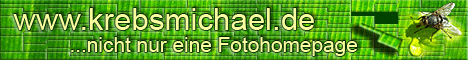 mkrebsbanner2
